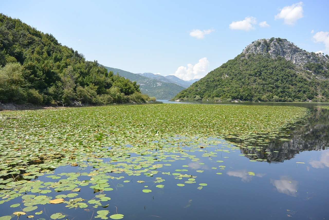 Let's Discover Everything about Lake Skadar in Montenegro